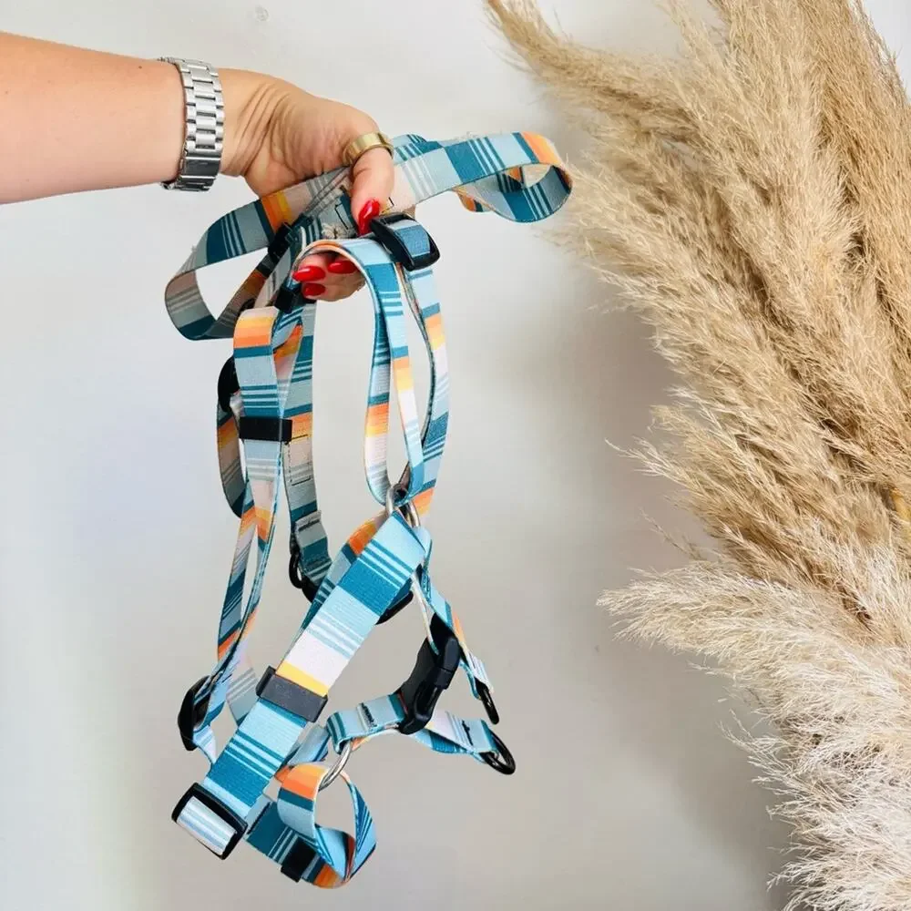 LEEDS Doheny White Blue Stripe Dog Leash Buckle Collar Step Harness $135 Set